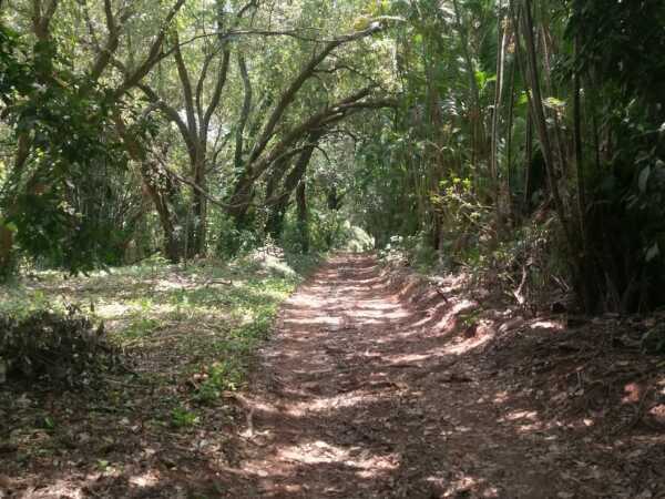 Gran oportunidad de inversión en Maramburé – Luque, foto 4