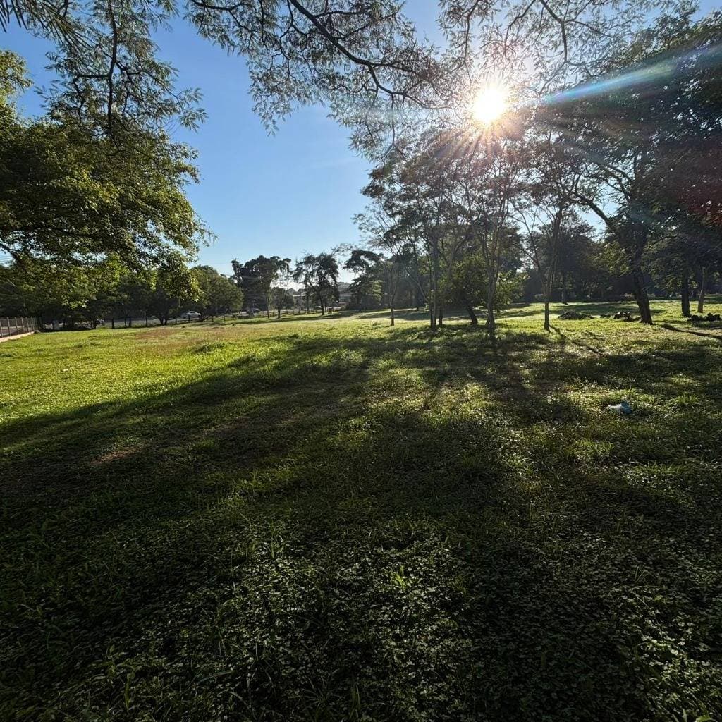 Terreno 48.320 m² sobre Ruta Transchaco | Loma Pytá, foto 3