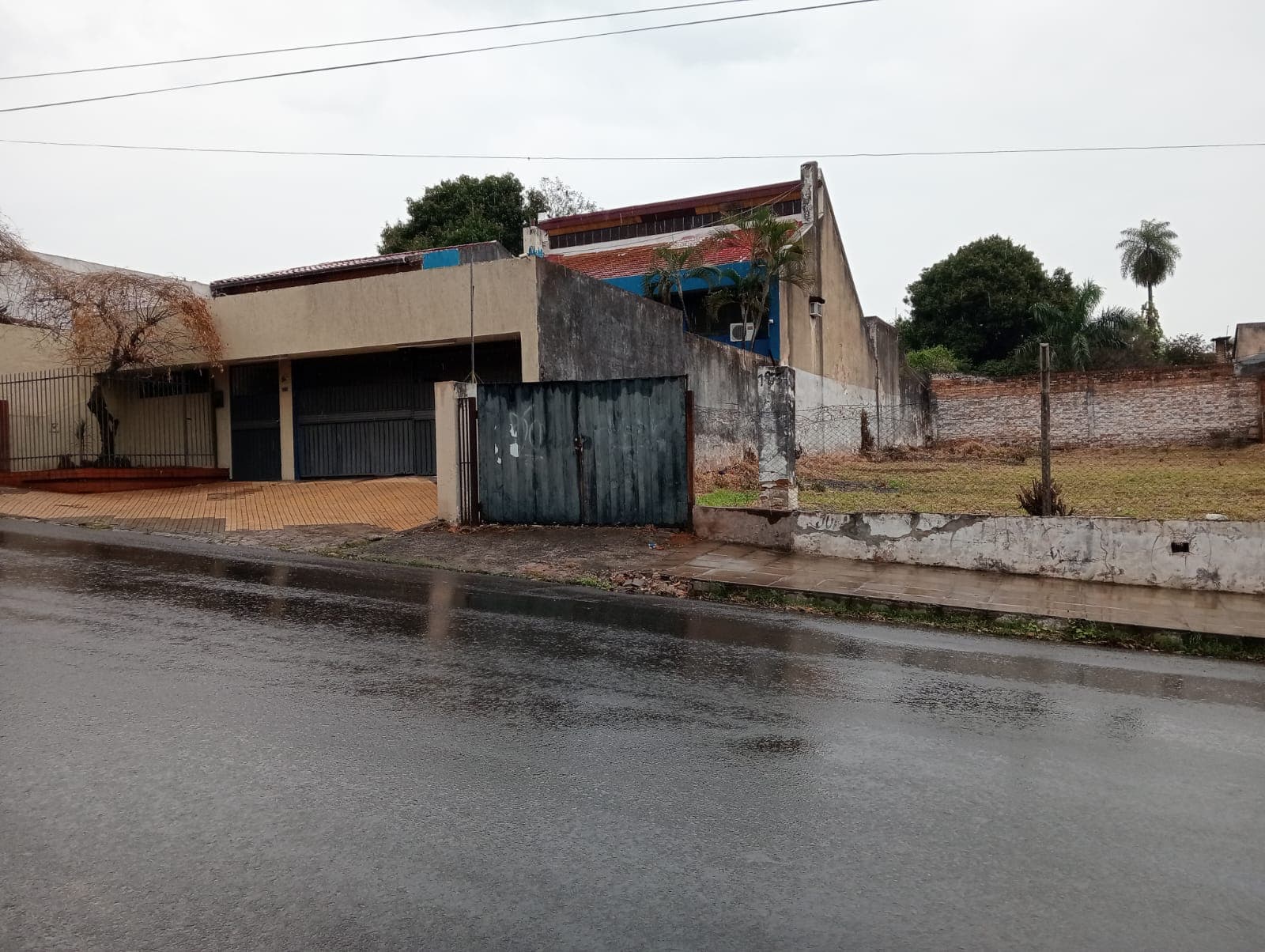 Terreno-pettirossi — foto 4