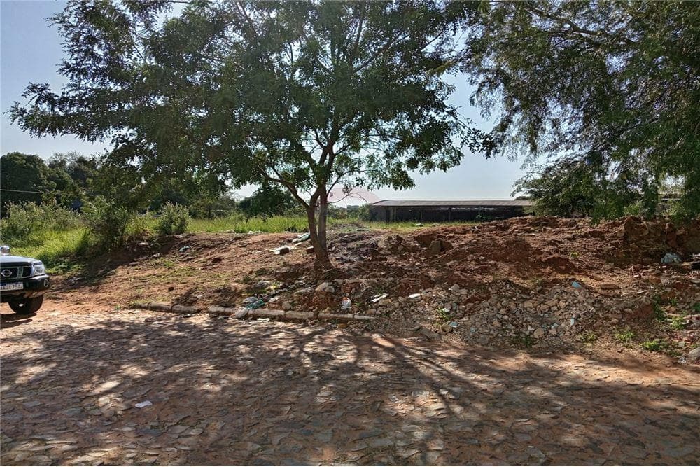 Terrenos en lambare san isidro, foto 2