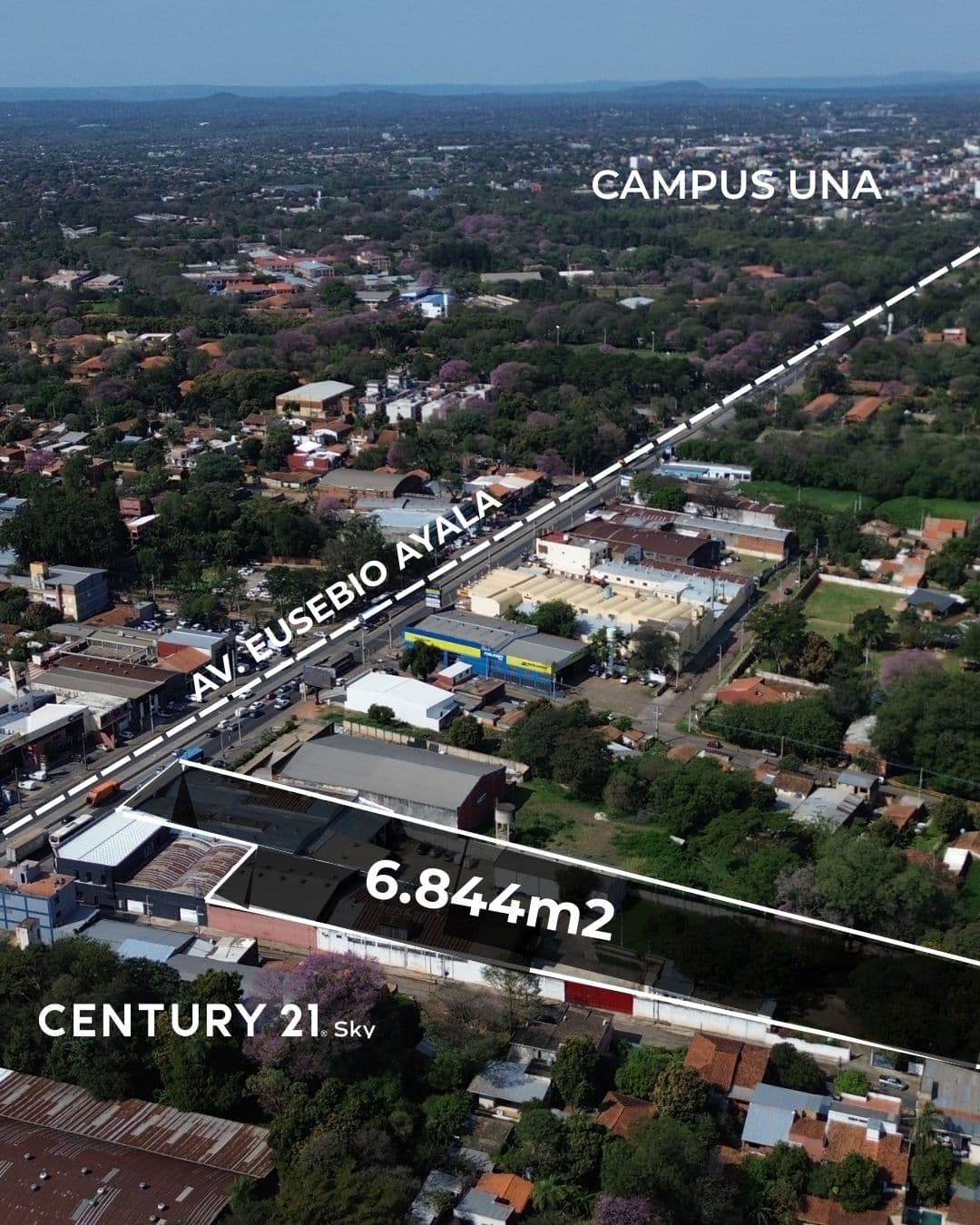 Tinglado deposito sobre avenida eusebio ayala — foto 3