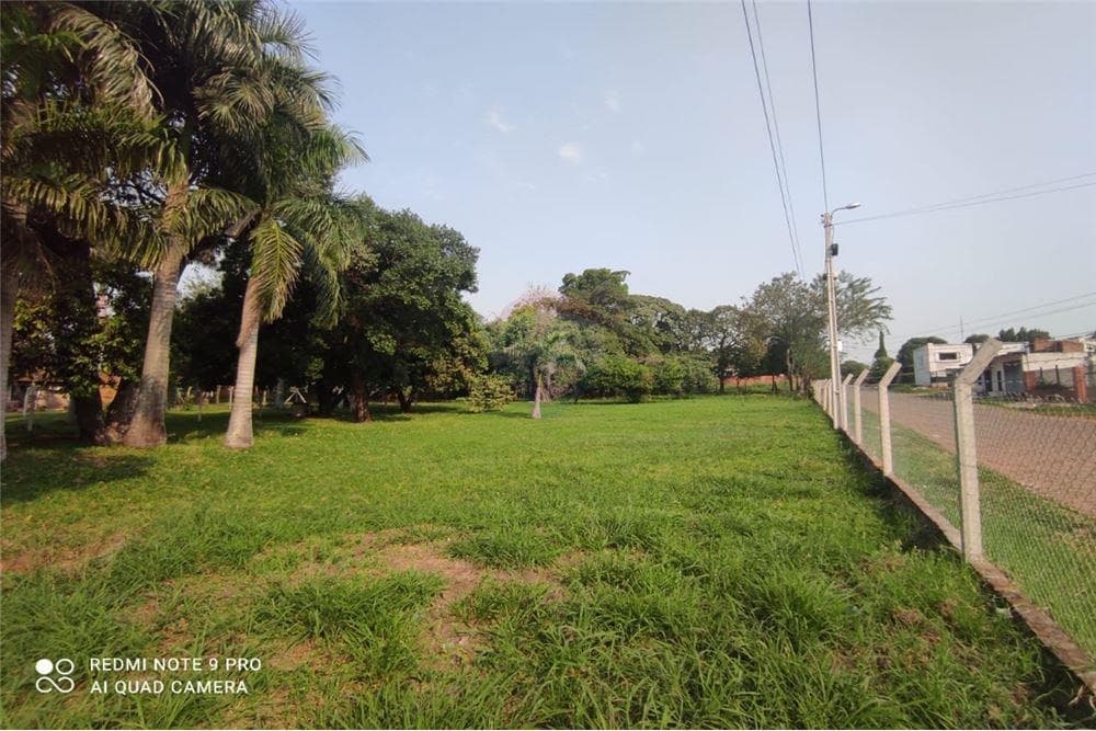 Vendo 11 terrenos juntos en laurelty sobre britez borges