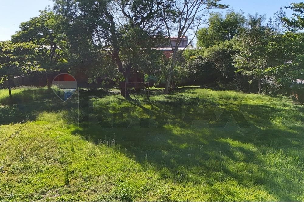 Terreno de 4.460 m2 en fdo de la mora zona sur, foto 4