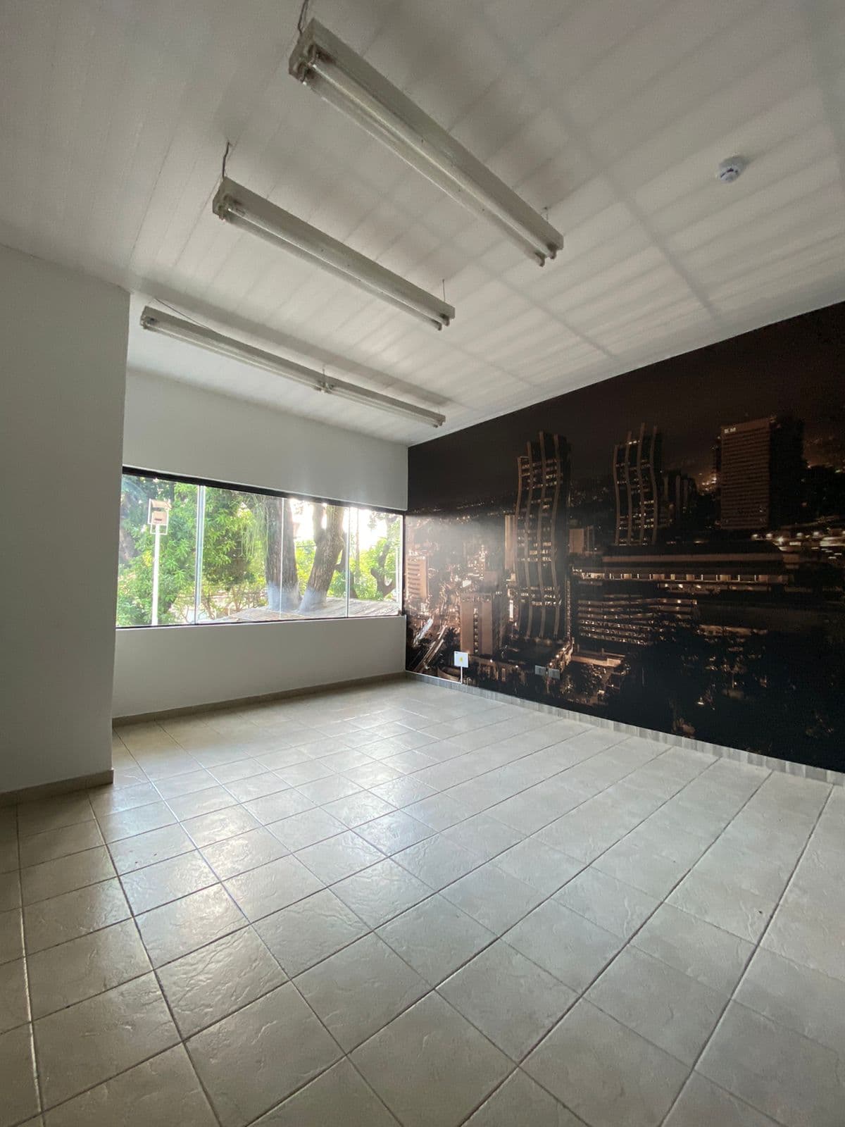 De salon comercial zona boggiani, foto 3