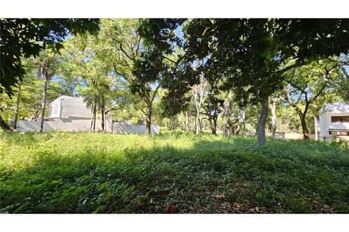 360m2 terreno zona plaza de los mangos, foto 4