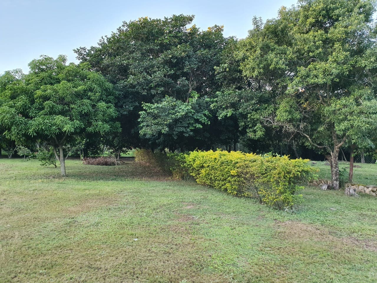 LOMA GRANDE: Exclusivo Terreno de 1.518 m² con Potencial Ilimitado — foto 3