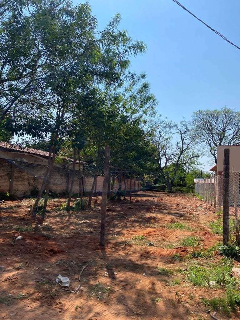 terreno en Mariano Roque Alonso, foto 4