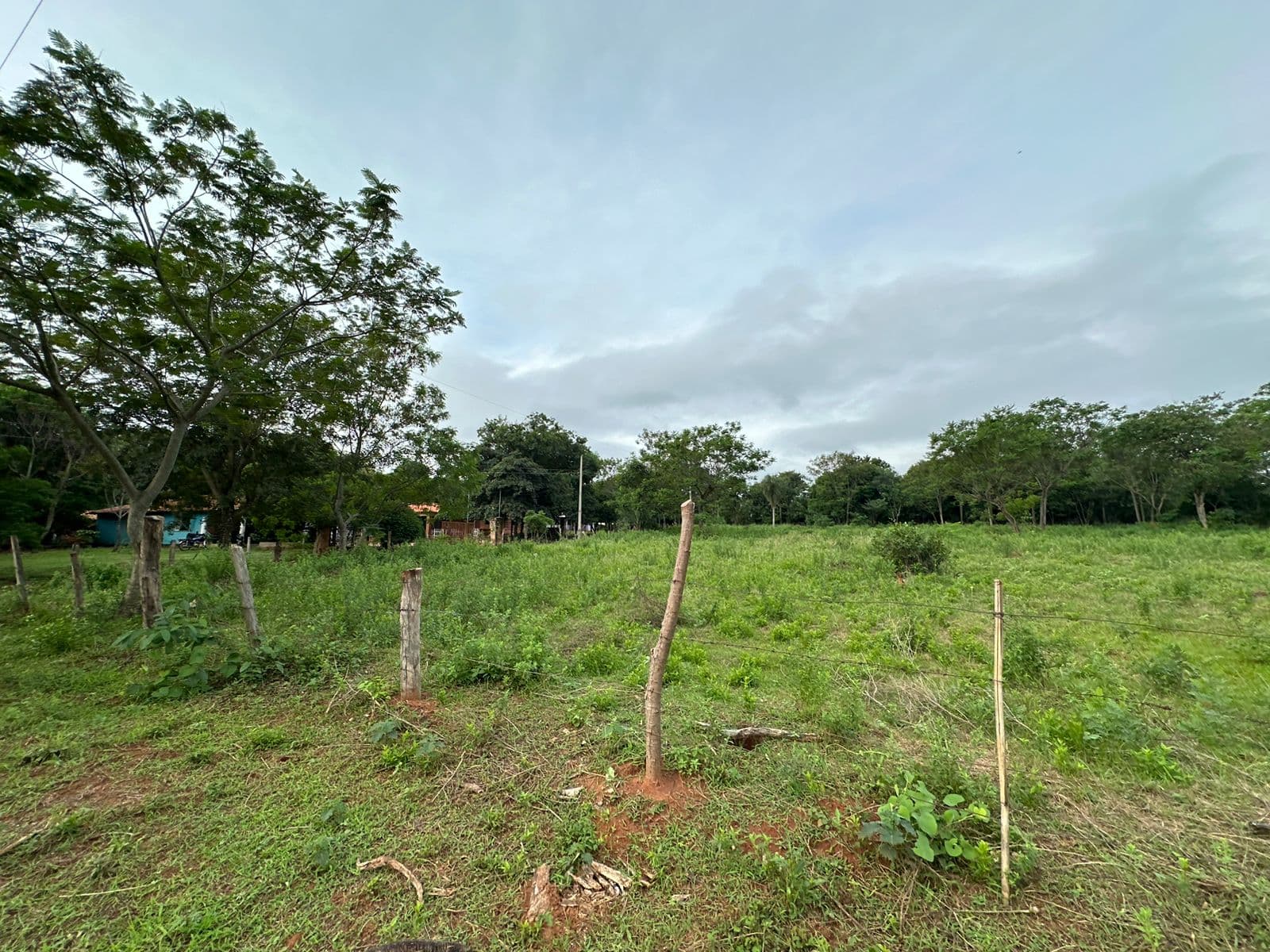 En venta terreno de 5.000 m2 en Caacupé, a 350 metros de Ruta 2, foto 5