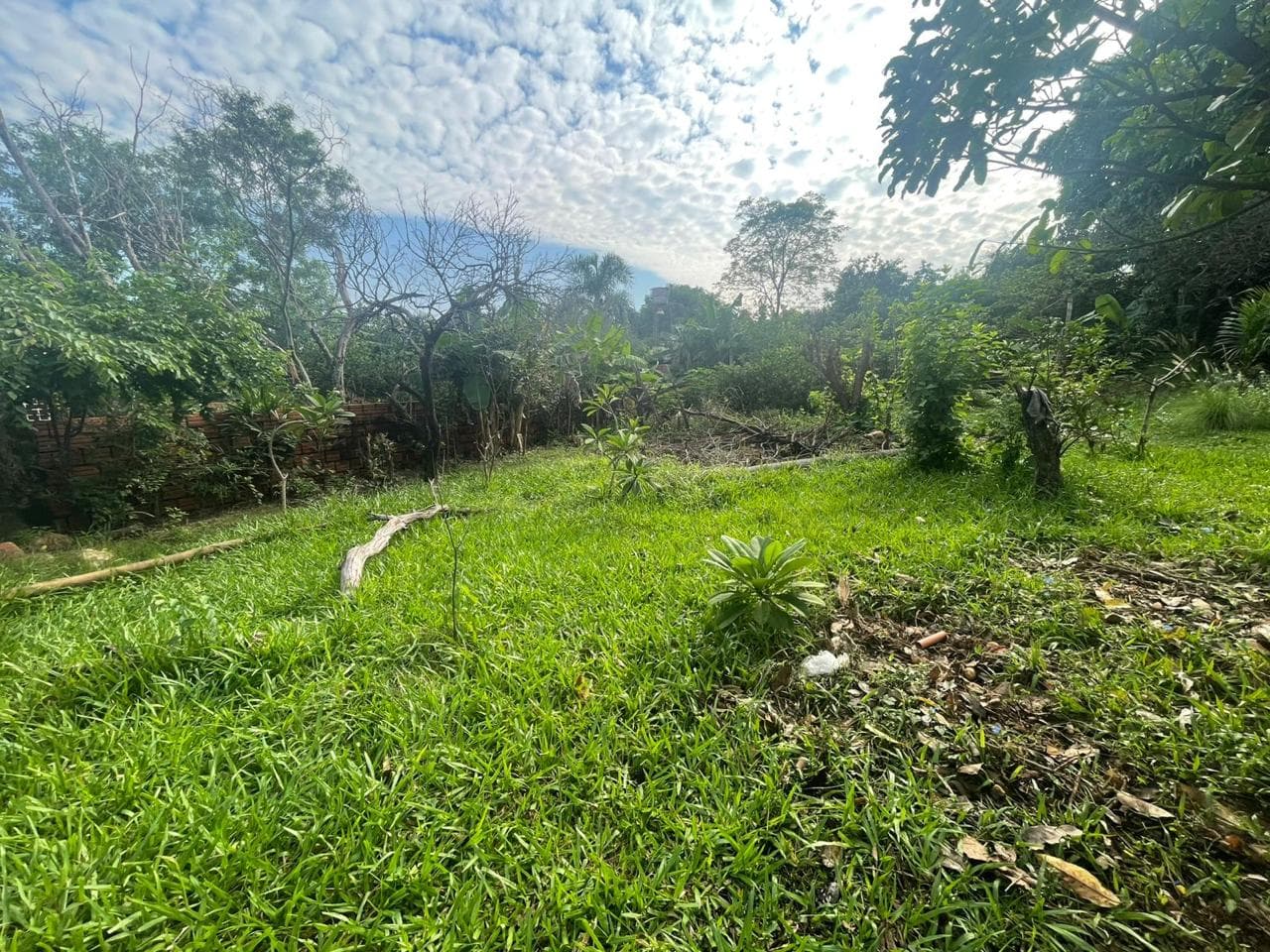 ???????? Terreno en venta – Villa Elisa | barrio villa bonita, foto 2