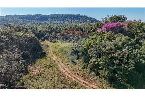 En venta – amplio terreno de 20.600 m² en San Bernardino – barrio pirayu’i, foto 4