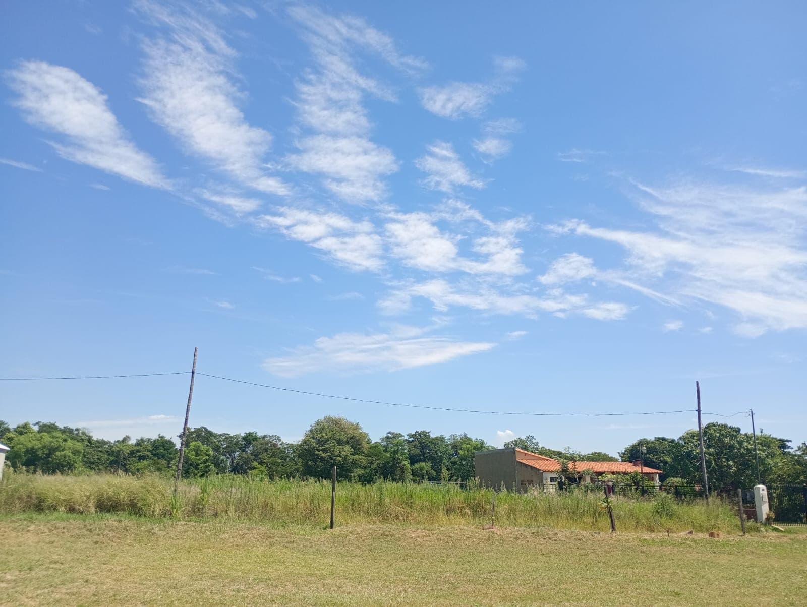 Terreno estanzuela, foto 3