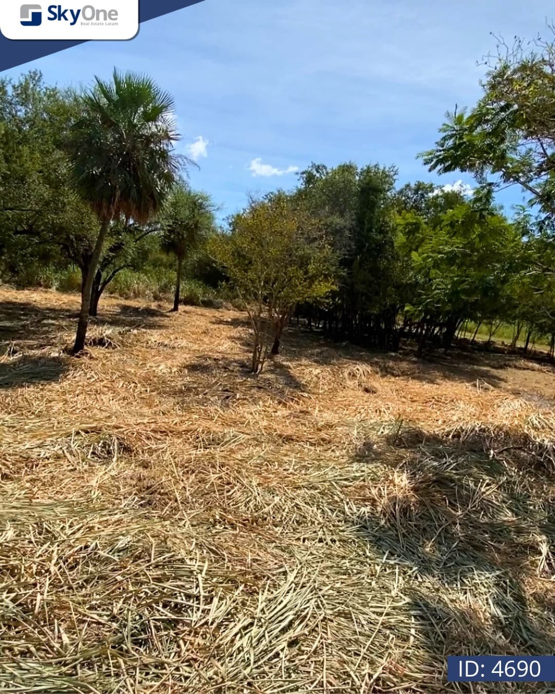 Terreno en venta surubi’i zona centenario, foto 3