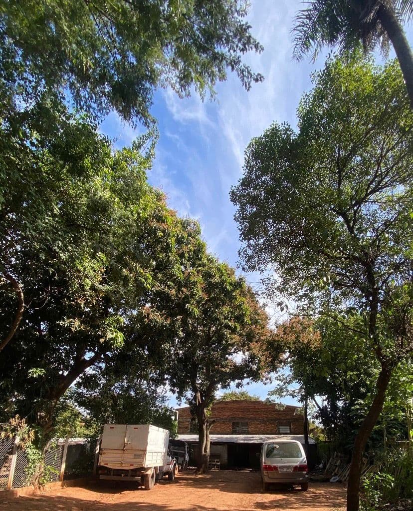 O alquilo, foto 2