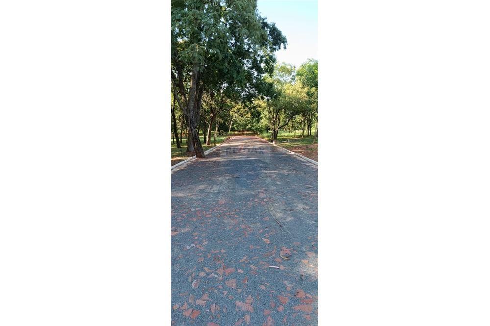 Terreno - Venta - Villa Elisa, Paraguay, foto 1