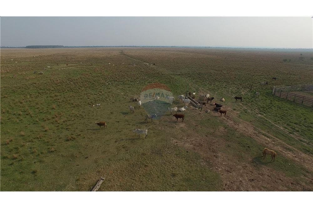 Estancia/Campo - Venta - Arroyos Y Esteros, Paraguay, foto 5