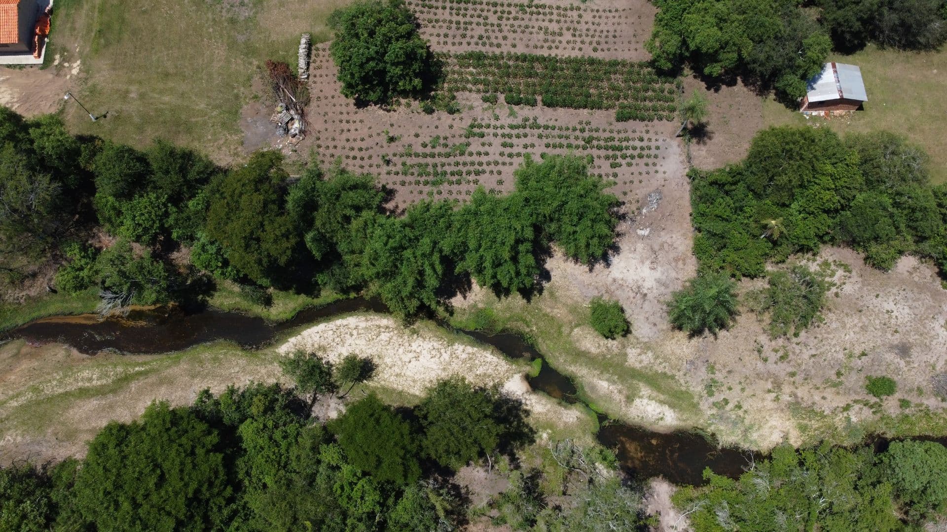 Propiedad De 1 Hectárea En Piribebuy, foto 4