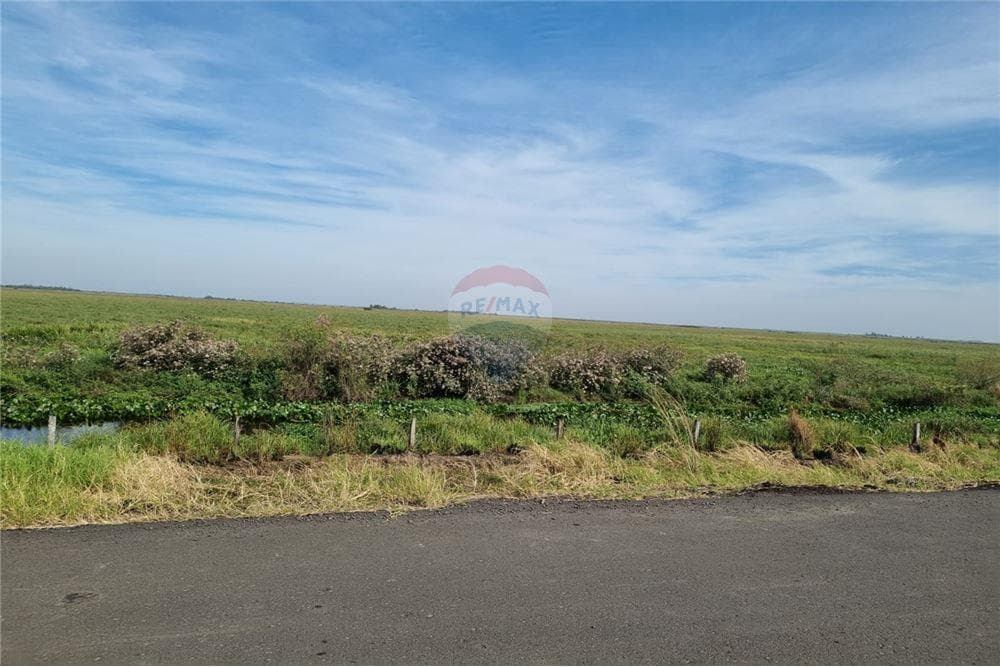En venta campo de 540 has. En juan de mena, foto 1