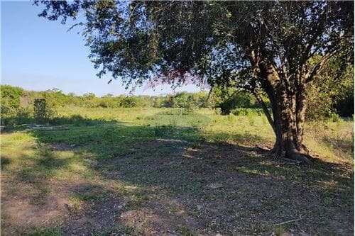 Terreno-Venta-PY Caaguazú COD.97, foto 1