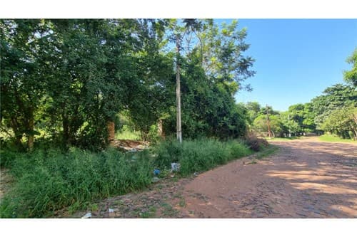 Terreno amplio en lambare — foto 2