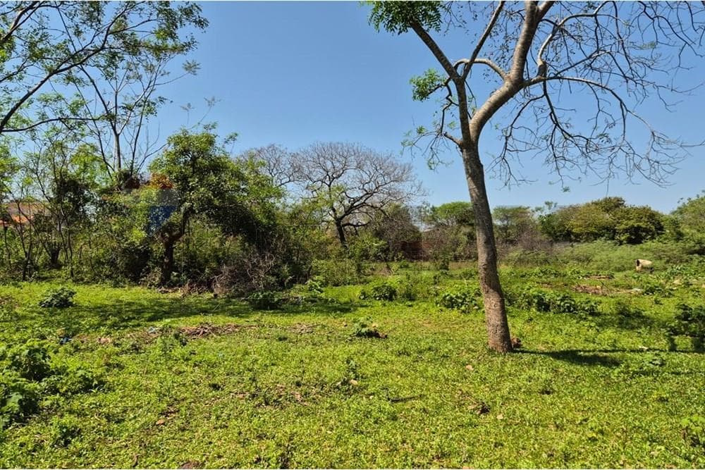 Terreno en Luque - San Bernardino