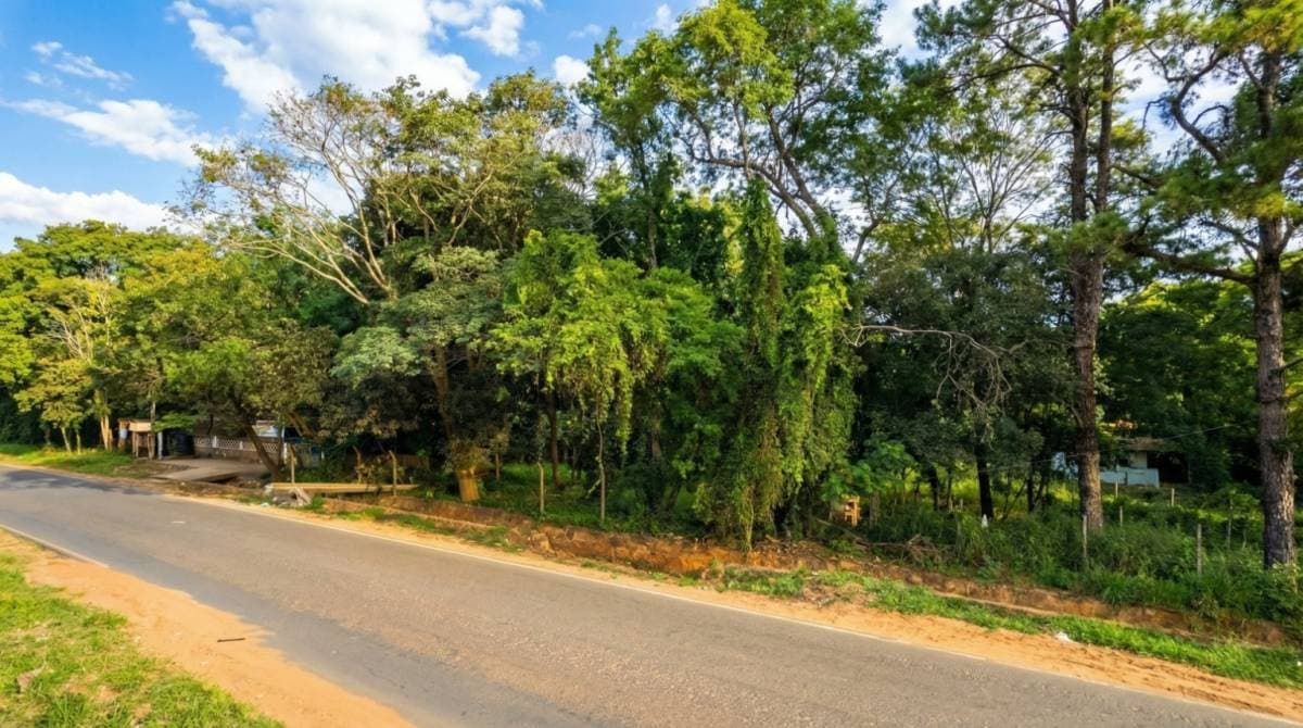 terreno de 2 hectáreas sobre ruta Capiata / Thompson / Ypane, foto 2