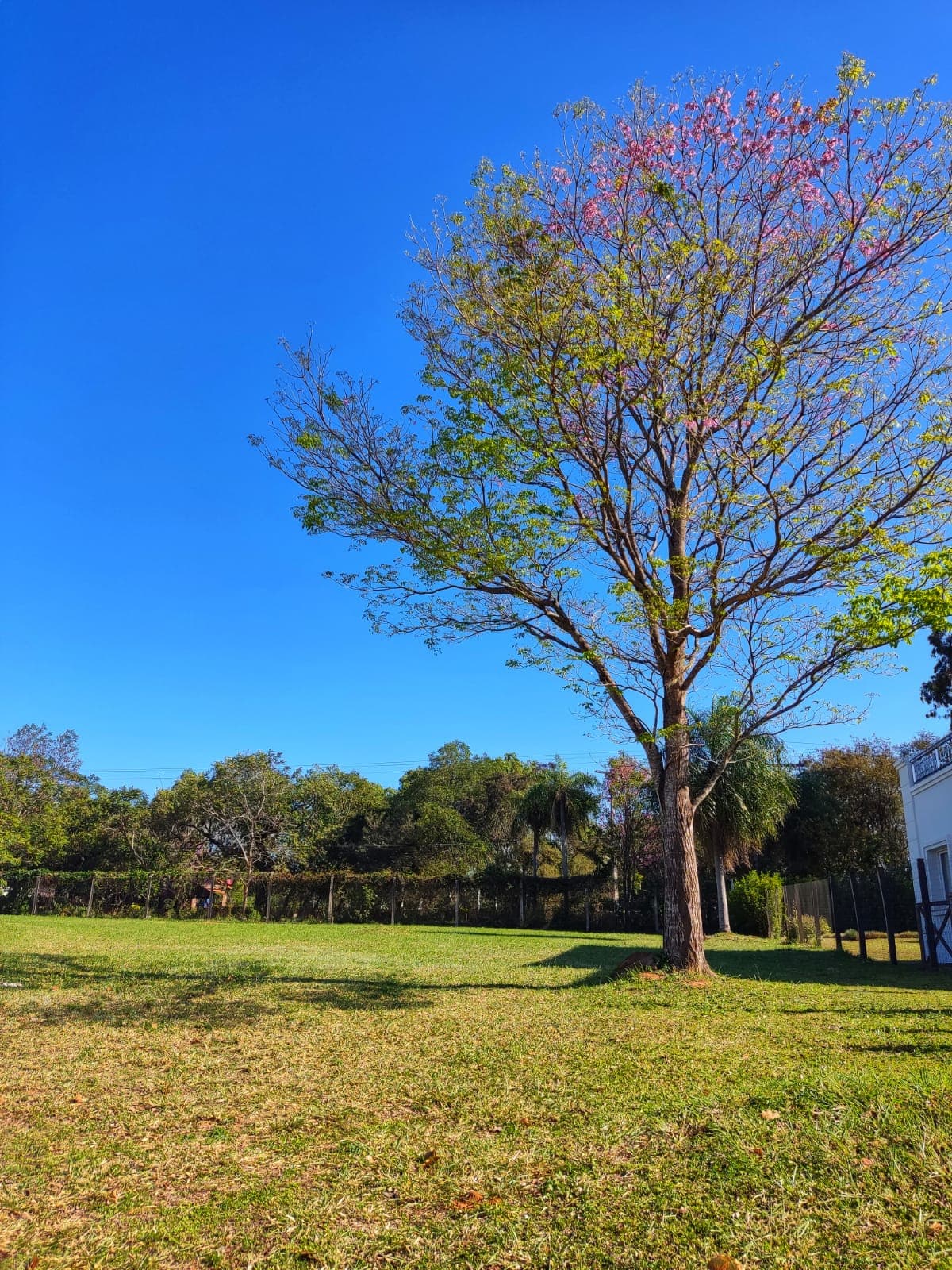 Lote en AquaVillage – Posición elevada, árboles frutales, financiación — foto 5