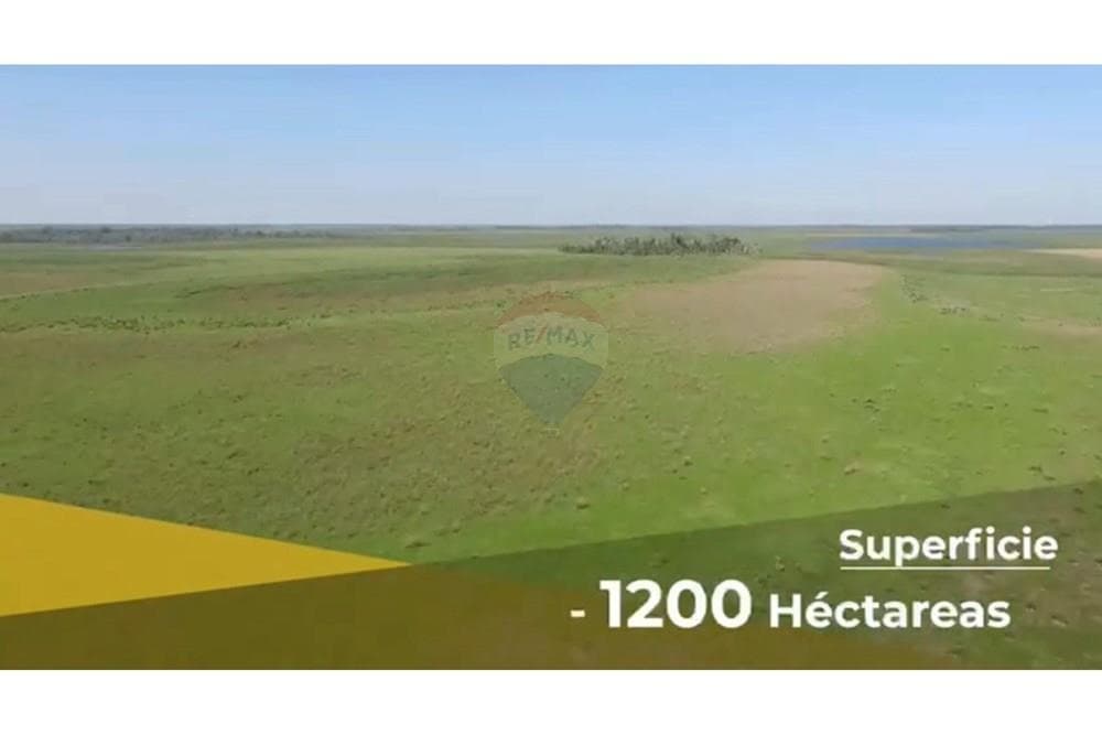 Vendo campo en ñeembucu 1.200 hectareas