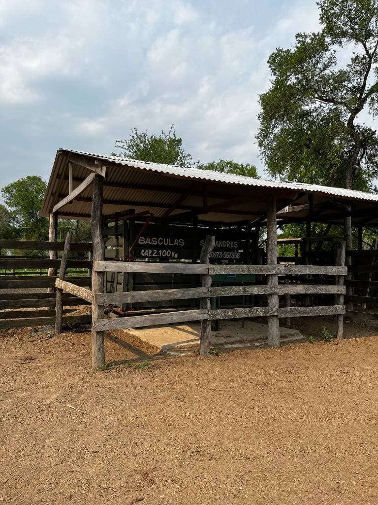 En venta estancia formada y en produccion de 554 hectáreas, foto 3