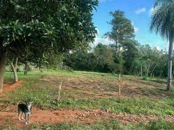 Terreno en itaugua km 28, foto 5