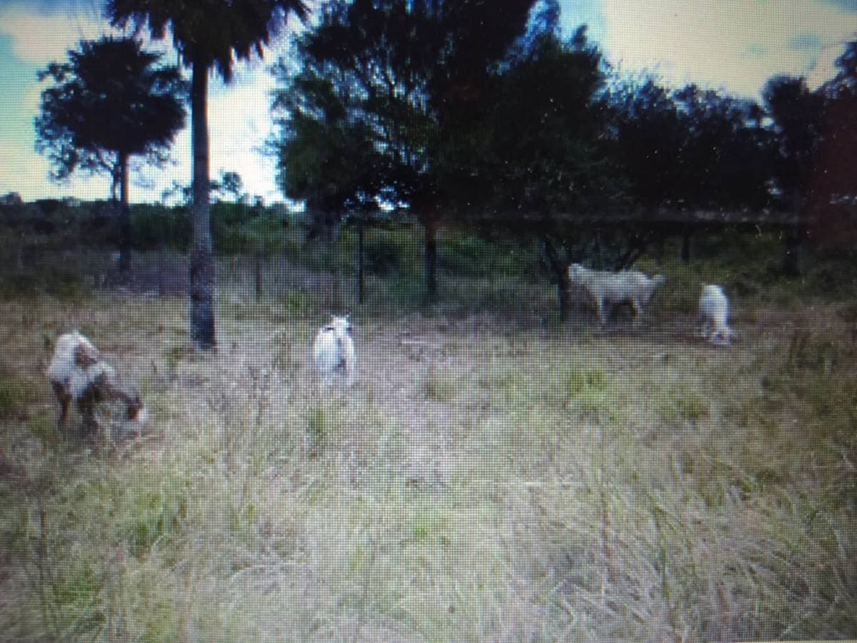 Terreno en puerto paraiso, villa oliva, foto 3