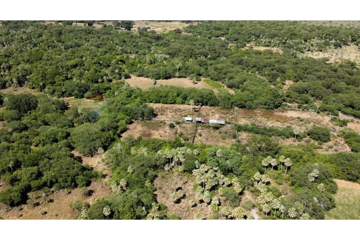 Estancia/Campo - Venta - Benjamín Aceval, Presidente Hayes, Paraguay, foto 4