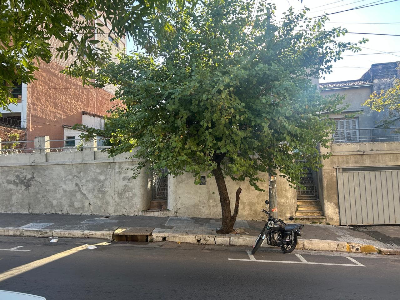 Terreno de 819 m2 en Barrio La Encarnacion, Zona Centro de Asuncion, foto 2