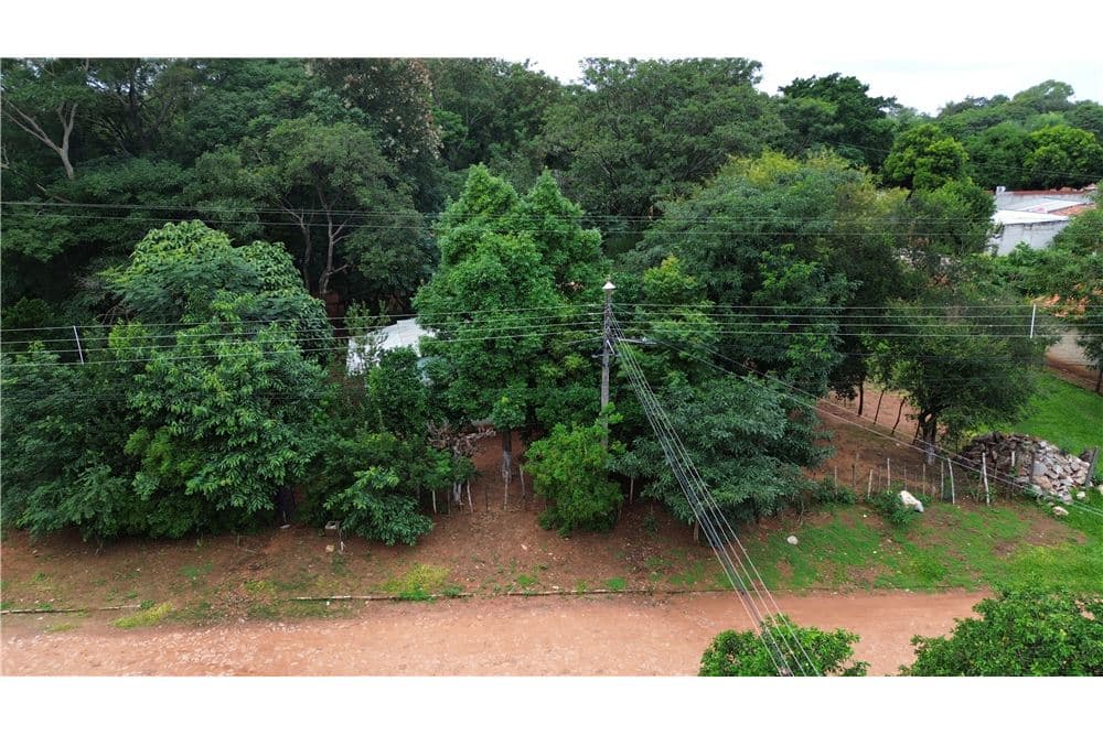 Terreno-Venta-LIMPIO TSUNESABURO MAKIGUCHI, Limpio, Central, foto 4