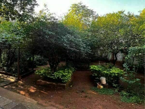 UNICA ESQUINA en LOS LAURELES 1158 M2 Ideal para desarrolladora, foto 4