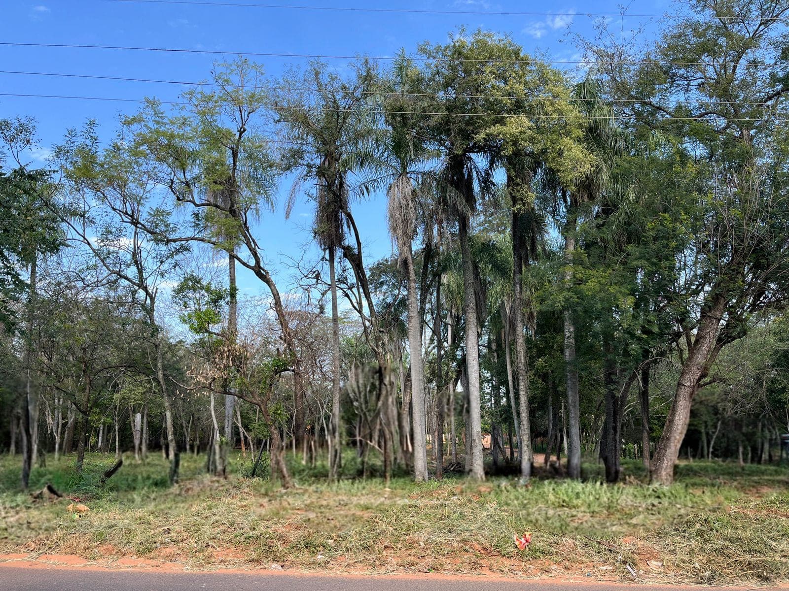 Terreno amplio en Itauguá