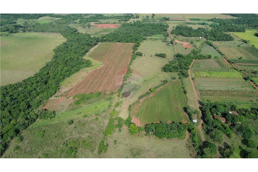 Espectacular Campo a la Venta de 34 Has – Coronel Bogado, foto 4