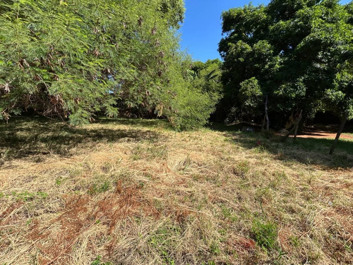 Amplio Terreno en Fernando de la Mora Zona Norte, foto 2