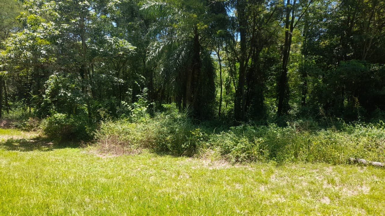 Terreno de 2000m2 en limpio, el peñón, foto 1