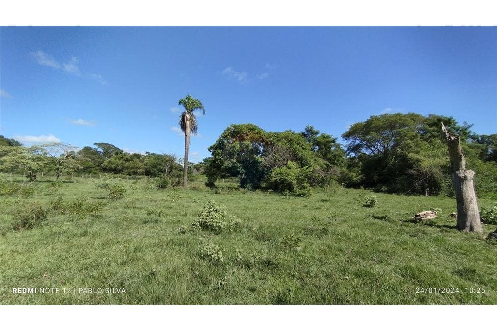 Especial para ganaderia vendo 270ha en ñeembucu estero kamba, foto 5