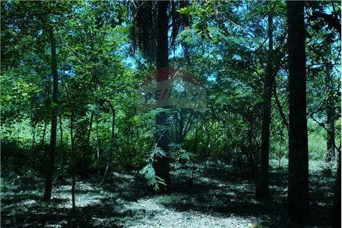 Terreno en venta, caacupe, foto 3