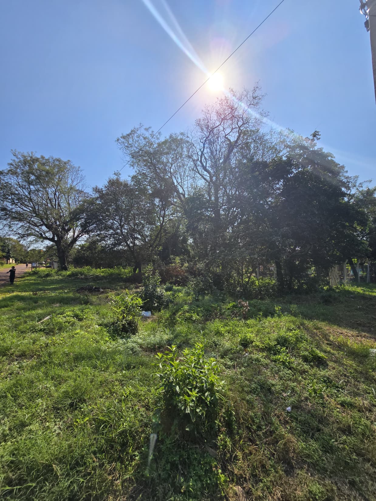 Terreno sobre ruta en aregua, foto 3