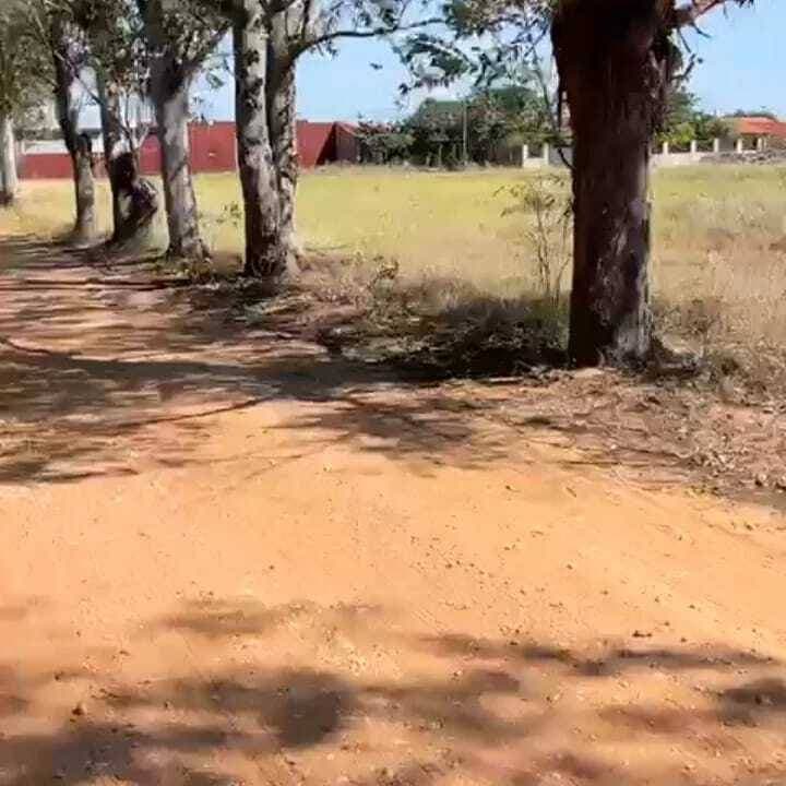 San Ber El Cortijo se vende amplio terreno