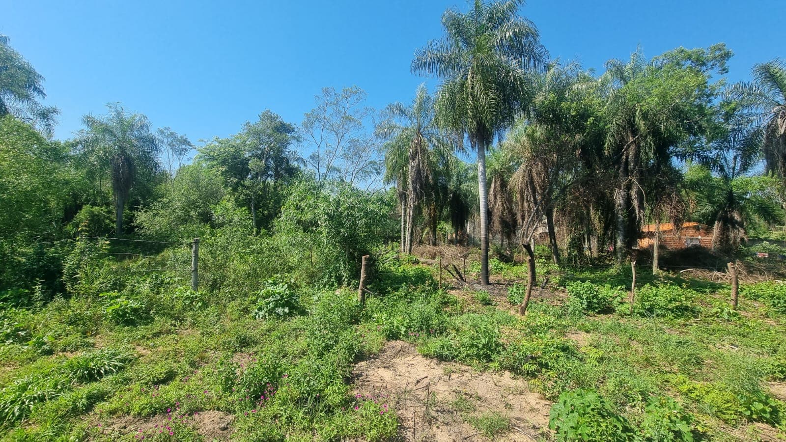 TERRENOS en Oferta, Serranías de Caacupe, foto 4