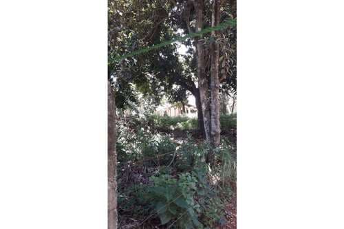 Terreno-Venta-ybyraro, Ybyraro, Ybyraro, Capiata, Central, foto 5