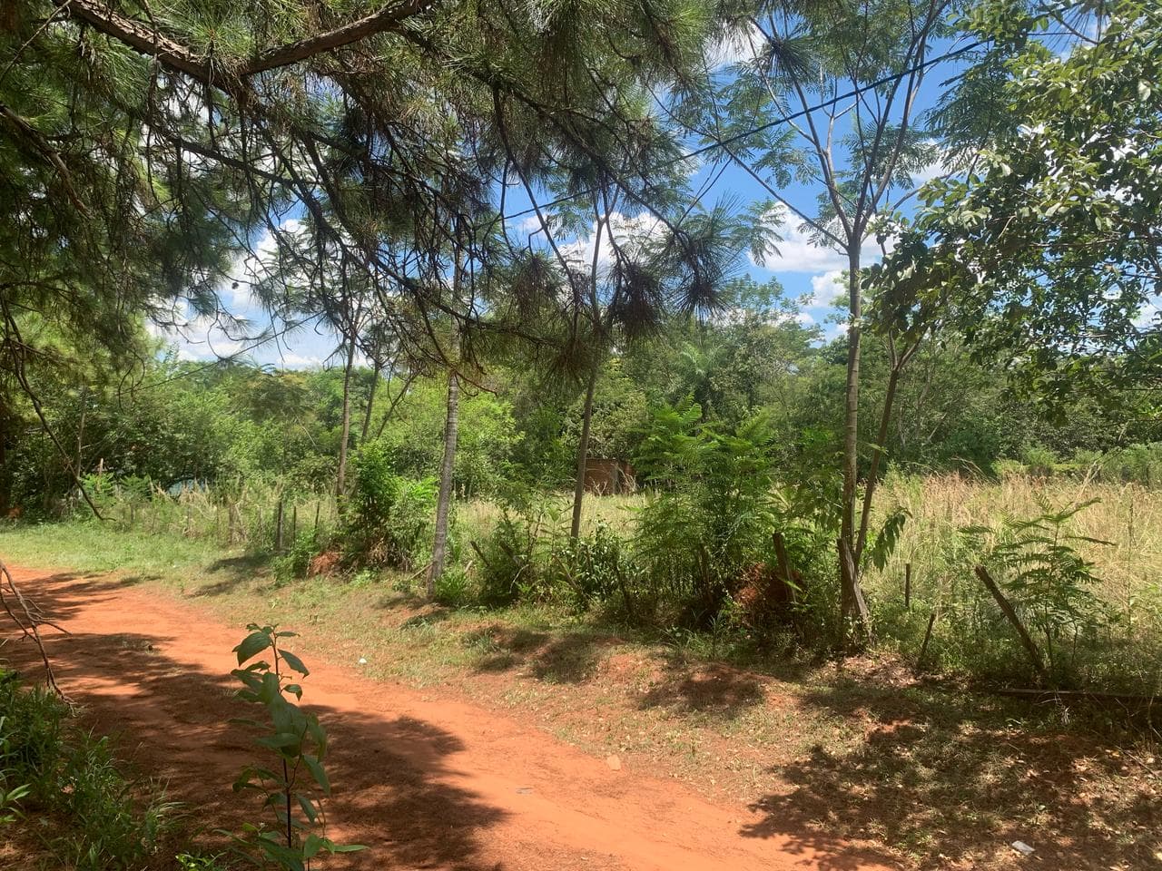 En Venta Terreno De 2.000 M2 En Paraguari Sobre Ruta 1 — foto 3