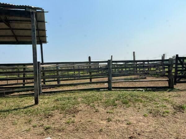 124 hectareas en la ciudad de tobati, foto 4