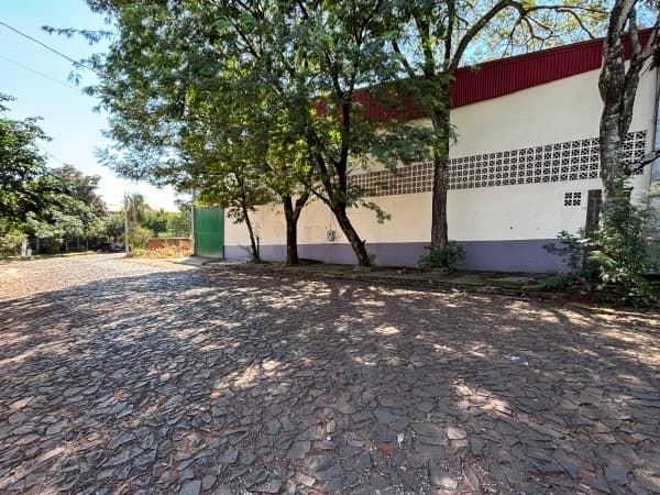 Depósito en alquiler en Ciudad del Este — foto 3