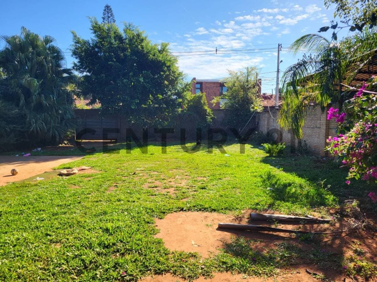 Terreno en venta en palma loma, Luque, foto 3