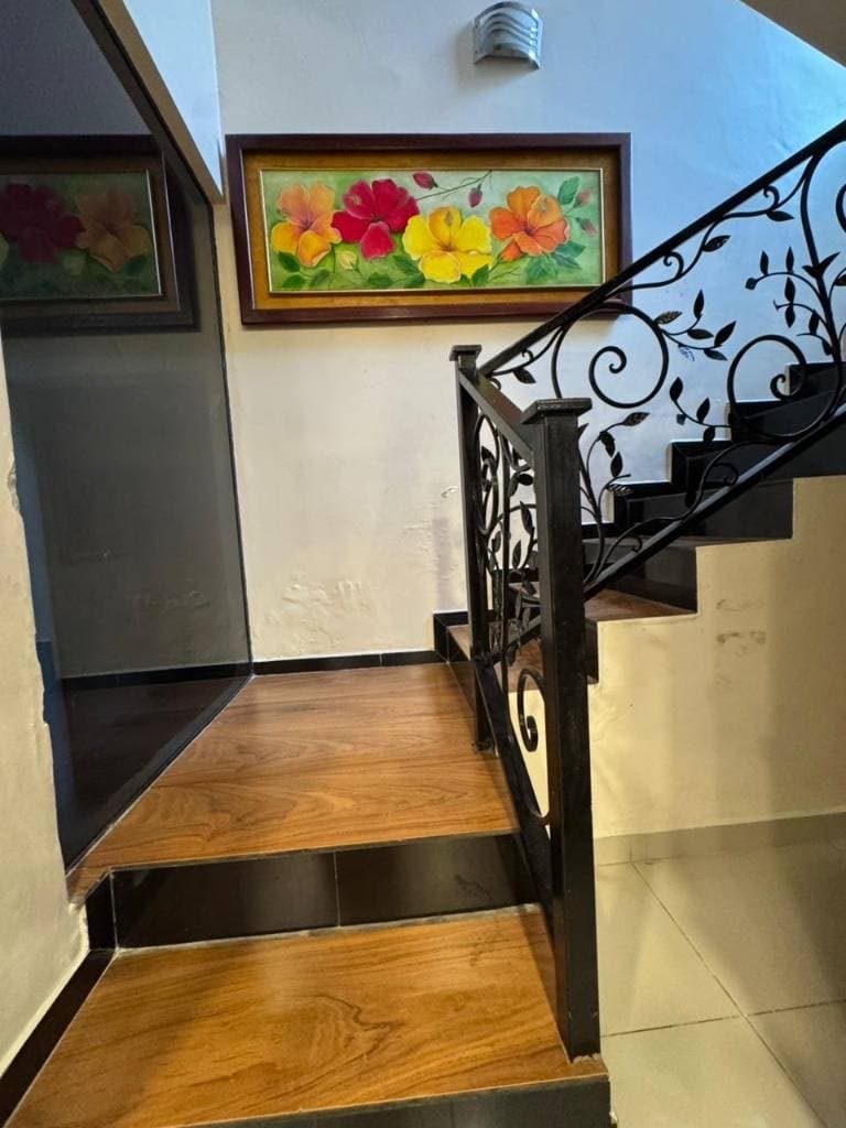Casa sobre madame lynch, foto 2