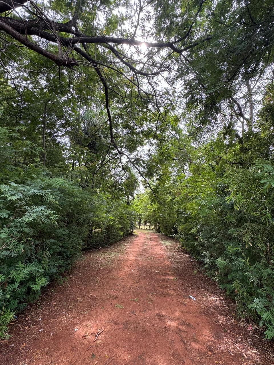 Terreno ideal para desarrollo inmobiliario en Luque, foto 5